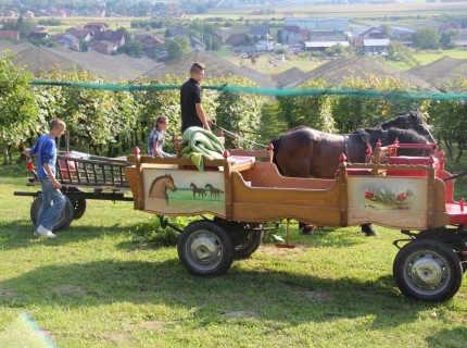 Kak su brali naši stari