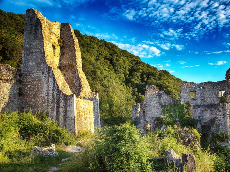 Stari grad Samobor