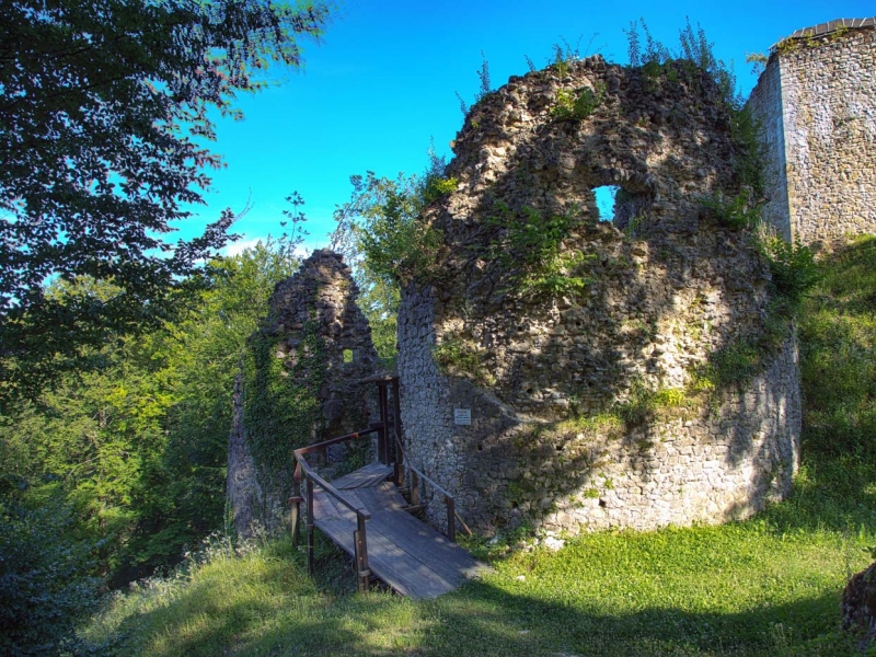Stari grad Zelingrad