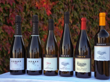 Vinarstvo – vinogradarstvo Korak